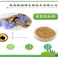 菊苣提取物 高比例浓缩 斯诺特集团 长期供应菊苣粉 包邮