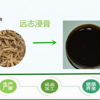 远志提取浓缩液  远志浸膏 天然提取物 源头厂家