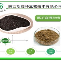 黑芝麻提取物 浓缩粉 代餐粉常用原料 厂家批发