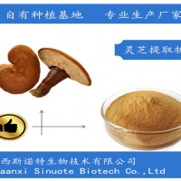 灵芝提取物 灵芝多糖50% 仙草提取物 生产厂家 含税含运