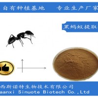 黑蚂蚁提取物 黑蚂蚁粉99%活性 拟黑多刺蚁提取物