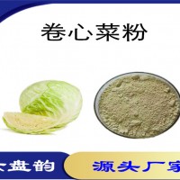 卷心菜浓缩粉 包心菜速溶粉 比例提取可定制 植物萃取原料