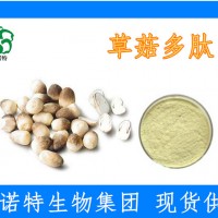 草菇多肽 75%活性成分 低聚肽 西北植提肽厂家 批发包邮