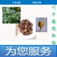 斯诺特川牛膝提取物厂家供应