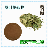 桑叶提取物药食同源 供应植物提取物粉定做浓缩浸膏