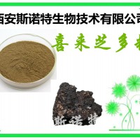 喜来芝多糖 30% 喜来芝提取物 10% 50%等