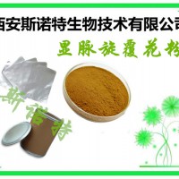 显脉旋覆花粉 10:1 20:1等 小黑药粉 新食品