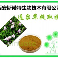 通泉草浸膏粉 通全草粉 10:1 20:1等 多糖