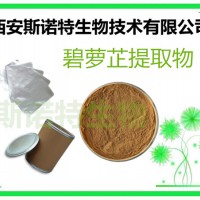 碧萝芷提取物 碧萝芷粉 10:1  规格多种 植提厂家