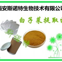 白子菜多糖 白子菜提取物 30% 50%等规格