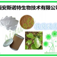 菝葜根浸膏粉 10:1 20:1等 菝葜根粉 包邮