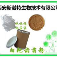 白耙齿菌浸膏粉 10:1 20:1 白耙齿菌粉 多种规格