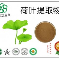 荷叶提取物 水溶原料 斯诺特现货