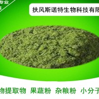 辣木叶提取物 速溶辣木叶粉 辣木叶水溶粉 厂家包邮