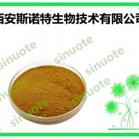 生姜粉 Ginger Powder 原料提取物 斯诺特