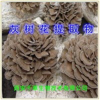 灰树花提取物灰树花浓缩粉 供应灰树花提取物流浸膏干膏