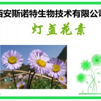 灯盏花素 98% 灯盏花提取物 原料提取 包邮