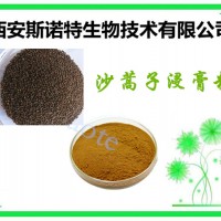 沙蒿子浸膏粉 沙蒿子粉价格 斯诺特工厂 包邮