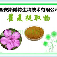 瞿麦浸膏粉 植物萃取瞿麦粉 10:1 斯诺特包邮