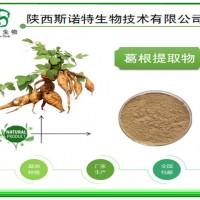 葛根提取物 葛根黄酮40% 好原料 就选西北植提厂家