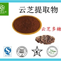 云芝多糖50% 浓缩云芝粉 云芝抽出物 云芝提取物 包邮