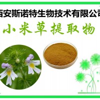 小米草提取物 20:1 小米草黄酮 包邮 发货快