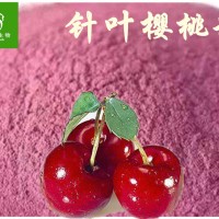 针叶樱桃粉 针叶樱桃果粉 丰富VC17% 天然果汁粉