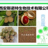 肉豆蔻提取物 肉豆蔻浸膏粉 5:1 包邮