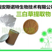 三白草提取物 10:1 TLC检测 原料