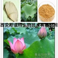 荷叶提取物 荷叶碱  免费试样