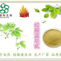 ：绞股蓝皂甙(苷) 98% 绞股蓝提取物 天然原料粉