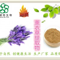 ： 薰衣草提取物 10:1 香草提取物