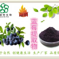 原料：蓝莓提取物 蓝莓花青素25%规格 大量发货