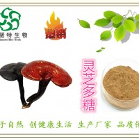 ：灵芝多糖 50%规格 灵芝提取物 浓缩速溶粉