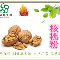 核桃粉 核桃仁提取物 速溶全溶 代餐粉 原料