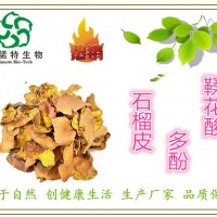 石榴皮提取物 石榴皮多酚20%鞣花酸 40%安石榴甙