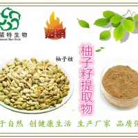 柚子籽提取物 西柚核提取物 生产厂家 推荐原料粉