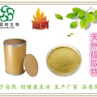 工厂现货：南非醉茄提取物 10:1 醉茄提取物 醉茄内酯