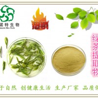 厂家：绿茶提取物 10:1 茶叶提取物 茶多酚