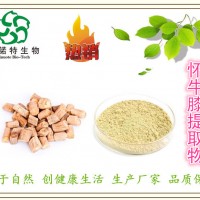 怀牛膝提取物 牛膝提取物 10:1