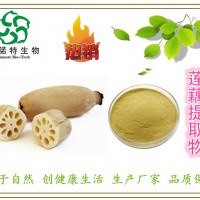 莲藕提取物 10:1 藕提取物 藕节提取物