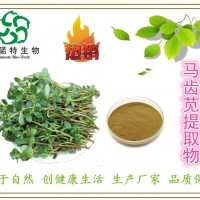 厂家：马齿苋提取物 10:1 马齿苋多糖 蚂蚱菜提取物