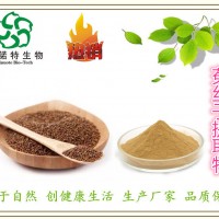 菟丝子提取物 10:1 菟丝子多糖 菟丝子皂甙 现货