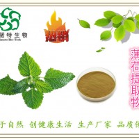 厂家：薄荷提取物 薄荷叶提取物 10:1 原料粉