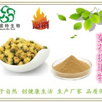 厂家：菊花提取物10:1 菊花茶提取物 野菊花浓缩粉