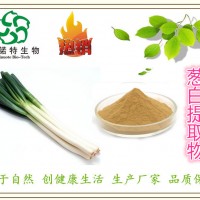 大葱提取物 葱白提取物 天然提取 代餐粉优选