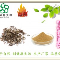 香薷提取物 10:1 蜜蜂草提取物