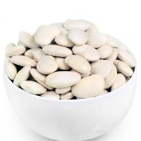 白芸豆多肽 小于1000道尔顿 小分子肽 粉末