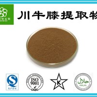 川牛膝提取物20:1 牛膝提取粉 牛膝粉 厂家现货直销