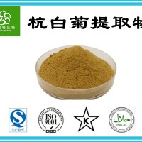 杭白菊提取物20:1 速溶菊花粉 水溶原料粉 专业提取厂家